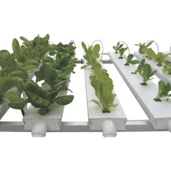 CropKing NFT System with 6 Growing Channels