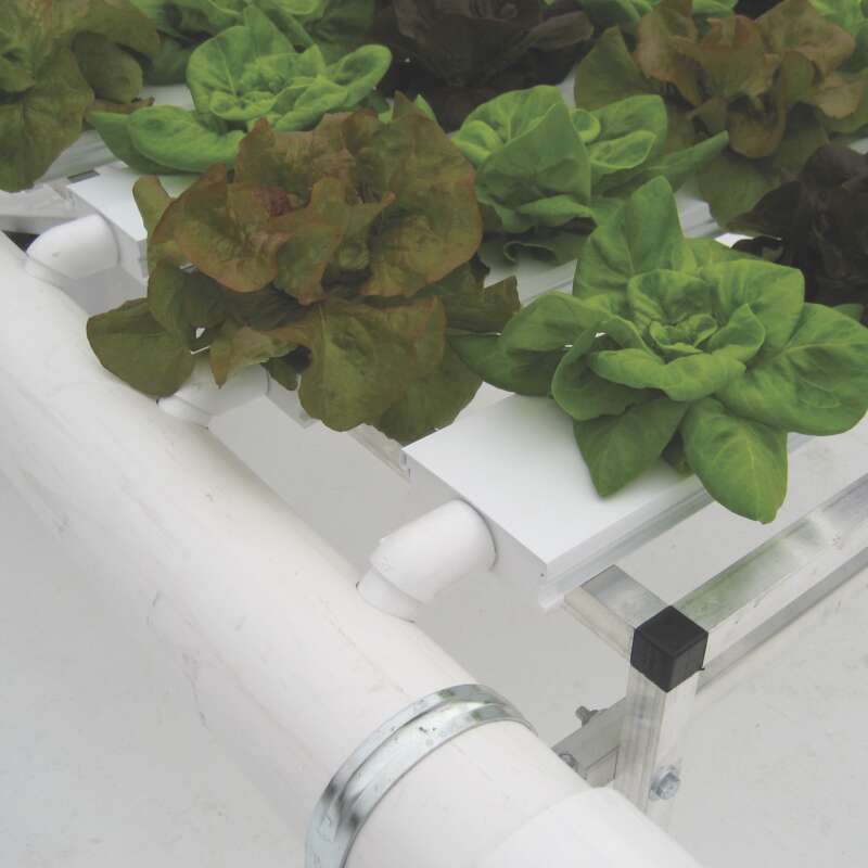 CropKing NFT System with 4 Growing Channels